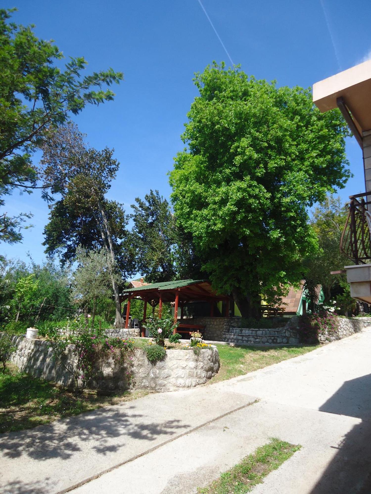 Apartments And Bungalows Mimoza Baosici Herceg Novi Luaran gambar