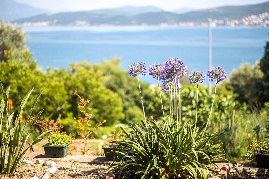 Apartments And Bungalows Mimoza Baosici Herceg Novi Luaran gambar