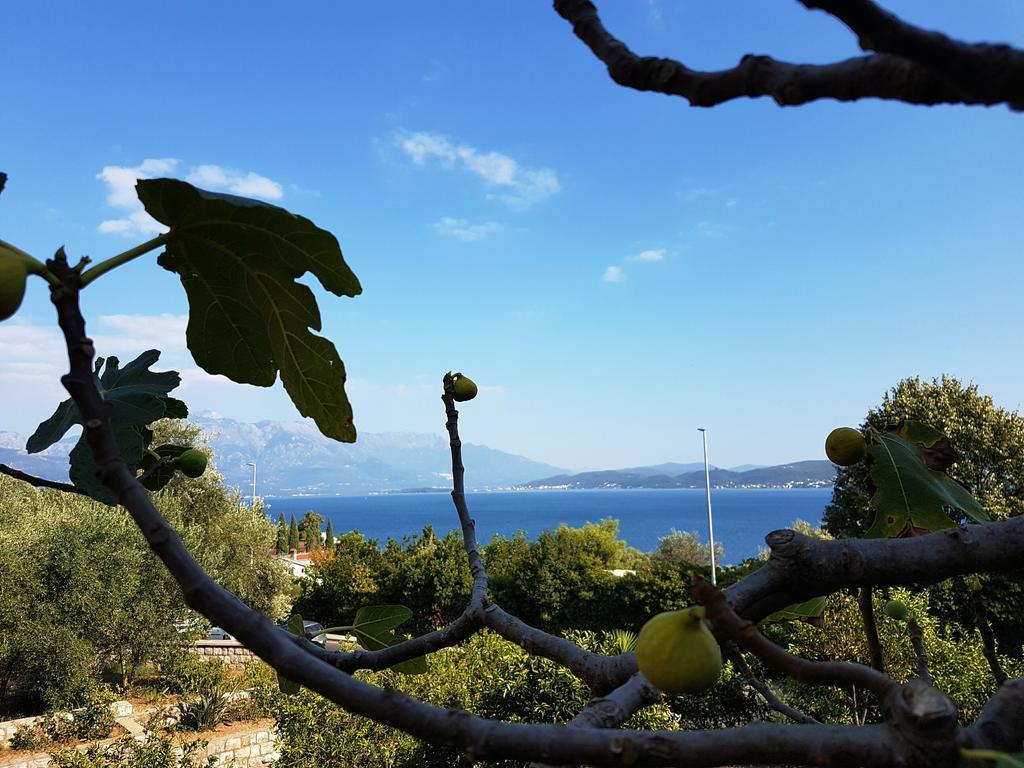 Apartments And Bungalows Mimoza Baosici Herceg Novi Luaran gambar
