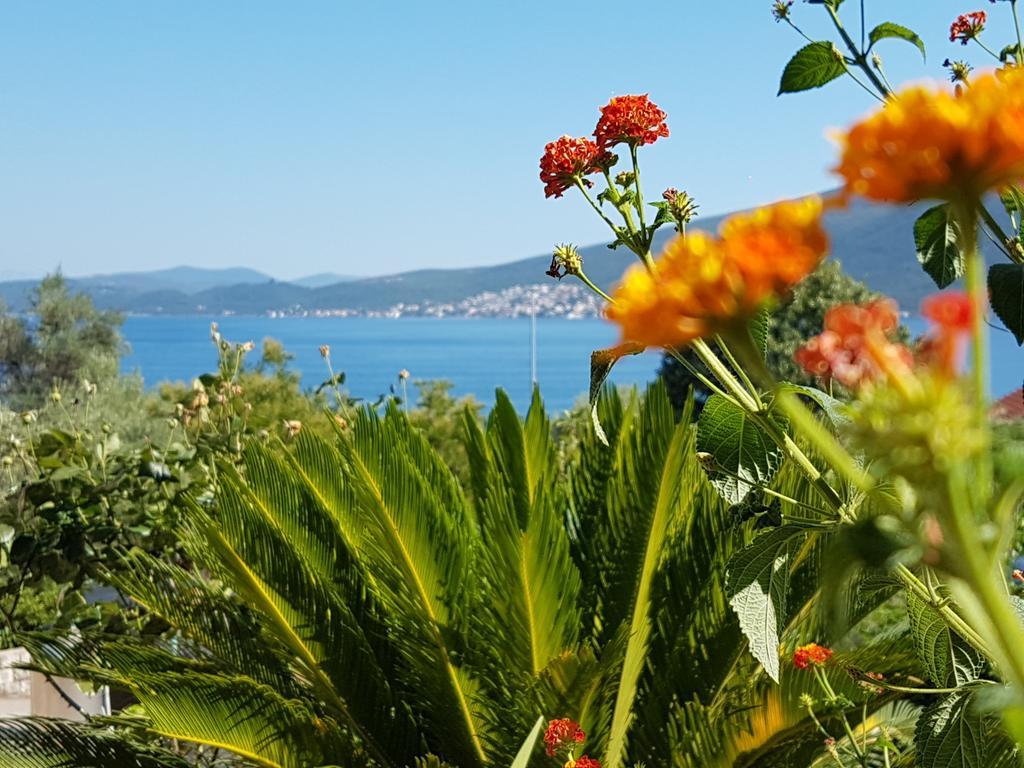 Apartments And Bungalows Mimoza Baosici Herceg Novi Luaran gambar